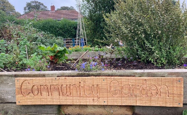 A planter full of plants in Hillfields community garden